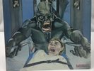 Indestructible Noise Command: Razorback LP ORIGINAL PRESSING 1987 RARE W/ INSERT