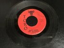 ORIG GARAGE ROCK 45 The Viscounts Empty Heart / I Was Hurt TORO 7117
