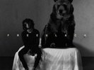 6LACK: FREE 6LACK (LP vinyl *BRAND NEW*.)
