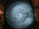 Led Zeppelin Dazed and Confused X Ray USSR Vinyl Record Music on Bones Roentgen