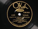 Carolina Club Orchestra OKEH 41408 E/E+ PRE WAR DANCE BAND 78