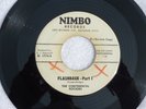 SURF INSTRUMENTAL -CONTINENTAL ROCKERS  Flashback - Part 1 / Heat Wave  Nimbo 17