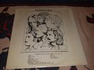 GRATEFUL DEAD - LIVE AT THE CAPITOL THEATRE RECORD 1978 bootleg NO TMOQ LP VINYL