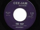 Mod Garage Psych 45 GODREY The Trip HARD-ROCKERS Come On Cee-Jam Kim Fowley HEAR