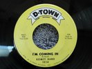 RARE DETROIT NORTHERN SOUL-D-TOWN RECORDS 1054-ROMEY RAND-I'M COMING IN-45