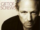 Lindsey Buckingham - GIFT OF SCREWS - rare LP record  + Fleetwwod Mac Nicks etc