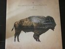 Heartless Bastards Arrow 2012 2 LP Gatefold Vinyl Near Mint Free Ship