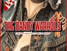 Dandy Warhols - Thirteen Tales From Urban Bohemia (Vinyl Used Very Good)