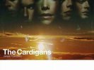 The Cardigans: Gran Turismo =LP vinyl *BRAND NEW*=