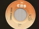 RARE Salsa Dura Guaguanco 45 CARIBBEAN SOUND 