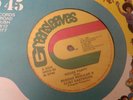Reggae Regular & Clint Eastwood , House Party , Dub Party , 12