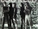 Lou Reed New York NEAR MINT Sire Vinyl LP