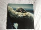 Beyonce - Lemonade  (Vinyl Used)