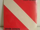 VAN HALEN Diver down LP Italy MINT