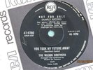 The Wilson Brothers - You Took My Future Away - 1969 RCA Sample 45