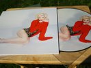 Madonna - Rebel Heart - Rare Special Ltd Edition Fan Club Canada Vinyl Album TOP