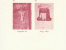 Appendix Out / Songs: Ohia ?– Split - Vinyl Single 7