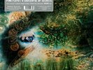 Pink Floyd Saucerful Of Secrets Mono Mix RSD Preorder