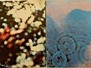 Pink Floyd - Meddle / Obscured by Clouds