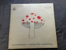 MUSHROOM / EARLY ONE MORNING MONSTER RARE ORIG IRISH 1973 HALPX FOLK PSYCH LP