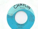CANYON Losin Game 45 RECORD RARE PRIVATE MN GARAGE PSYCH PODIPTO