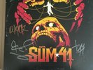 Sum 41 Order In Decline Limited Edition Signed Yellow Vinyl  LP