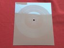 CREEDENCE CLEARWATER REVIVAL midnight special BOB DYLAN wigwam NM POLISH FLEXI