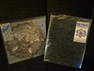Police Vintage Vinyl 2x Picture Disc Set: Message In A Bottle and Don't Stand