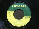 Doctor Bird Al Barry Morning Sun Mint Copy