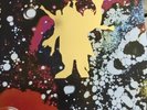 PINK FLOYD Piper At The Gate Of Dawn Mono 2018 RSD Vinyl Album LP M