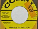 TERRY & THE TOPICS Where’s My Pussycat CORAL 45 mod garage tittyshaker HEAR