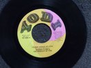 northern soul SHAREN CLARK I'm Not Afrain Of Love YODI 1000