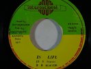 Reggae 45 BB SEATON Is Life on Roots International NM
