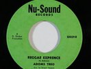 Reggae 45 ADOMS TREO/EQUITABLES Reggae Exprence/Old Time Kaio on Nu-Sound