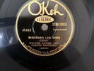 BLUE Mississippi Sheiks Okeh 45482 Mississippi Low Down/Thats IT E