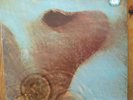 Pink Floyd, Meddle, Vinyl, 1971