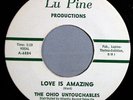 HEAR IT 60's R&B Soul 45 rpm record The Ohio Untouchables 