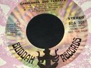 NM LANDLORDS AND TENANTS “Back Up Part 2” BUDDAH Promo BDA 301 Funk Breaks 45