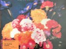 The Teardrop Explodes Wilder 1981 Original Vinyl LP plus Gig Ticket. All NMint.