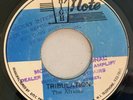THE AFRICAN - TRIBULATION - HIGH NOTE ( ROOTS 7 )