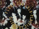 Flesh For Lulu vinyl LP album record Plastic Fantastic UK BEGA100
