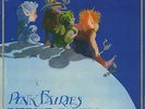 Never Never Land Pink Fairies UK vinyl LP album record 2383045 POLYDOR SUPER