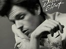 BRANDON FLOWERS - DESIRED EFFECT NEW VINYL