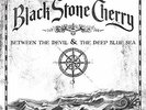 Black Stone Cherry-Between The Devil and The Deep Blue Sea (UK IMPORT) VINYL NEW