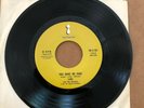 LUKE AND THE APOSTLES YOU MAKE ME HIGH TRUE NORTH 45 CANADA GARAGE PSYCH