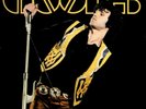 The Doors Vinyl LP Elektra 1987, 60741-1, Live at the Hollywood Bowl   NM-