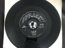 The Untamed Vinyl Record It’s Not True PLF 103 Good Cond