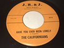 The Californians 45 Jim Ferguson of Avengers VI Private Garage Rock Psych LISTEN