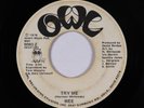 70s Soul 45 - Wee - Try Me - Owl - mp3