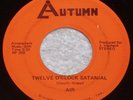 AIR Twelve O'clock Satanial & Jump Back RARE Michigan Private Hard Rock Psych
